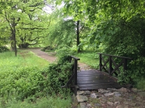 Dřevěný mostek v parku