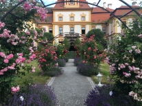 Rosarium v květu